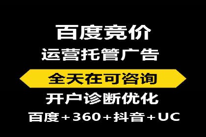 竞价推广策略：某电商平台的成功案例